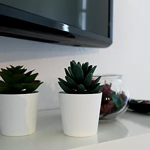  Apartment Oasis - Pedras D' El Rei T0